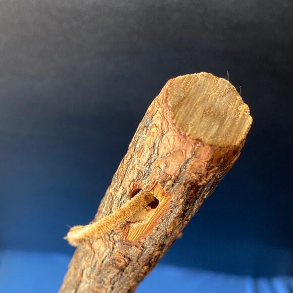 VTG Hearth Fireplace Whisk Broom Witch Handmade Primitive Berea College Student - Picture 8 of 12